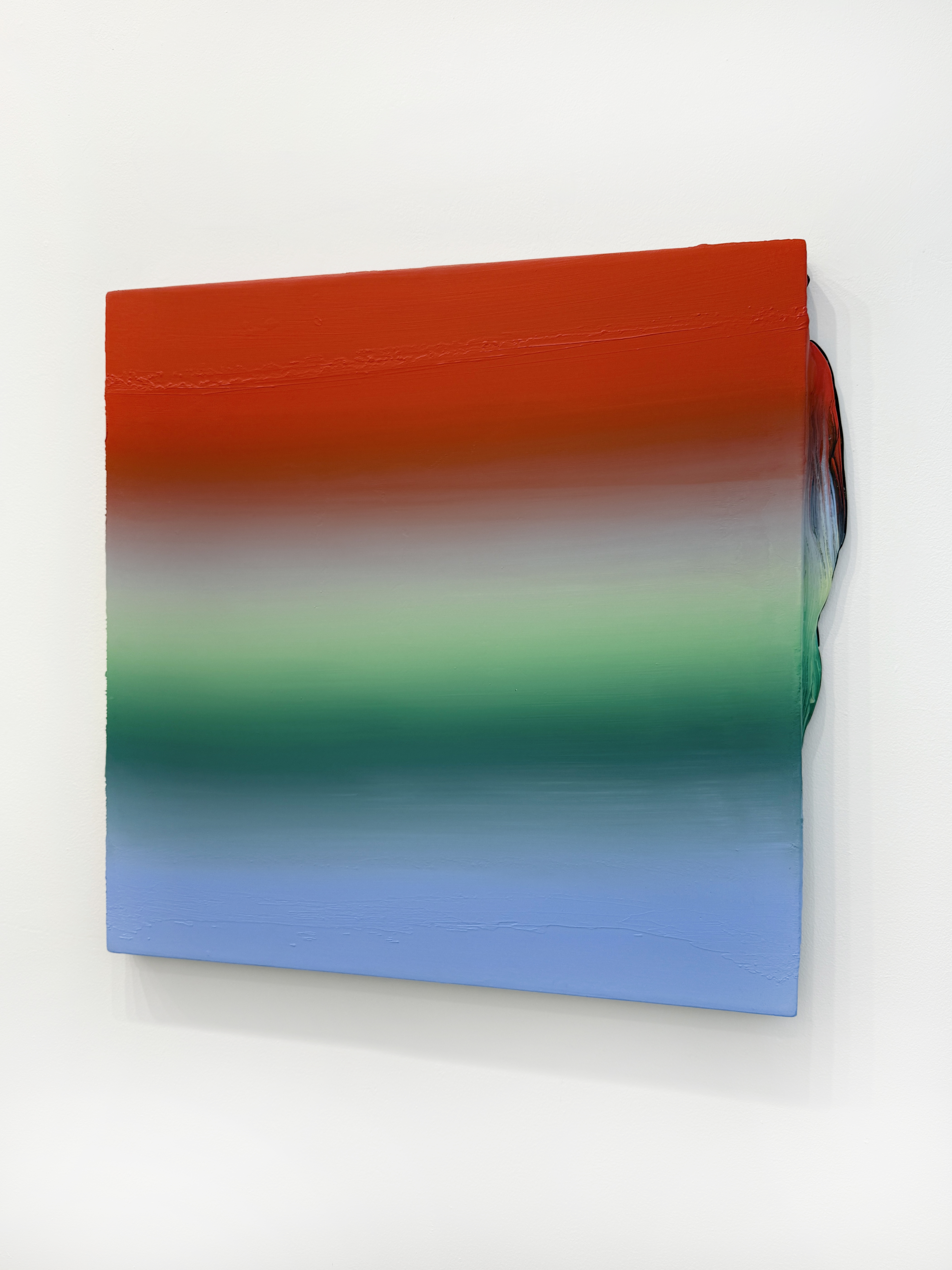 Enaid Coll  (32 x 30 inches acrylic on mdf 2025)
